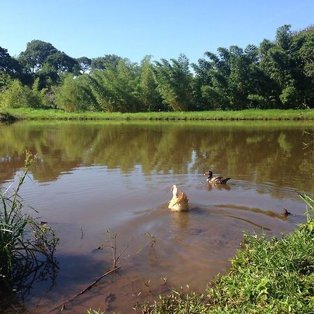 Pirenópolis Aguas Vivas Hotel Fazenda מראה חיצוני תמונה