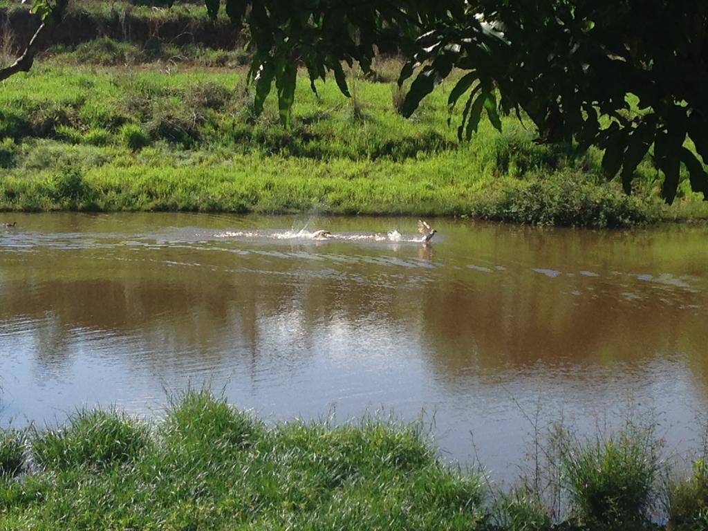 Pirenópolis Aguas Vivas Hotel Fazenda מראה חיצוני תמונה
