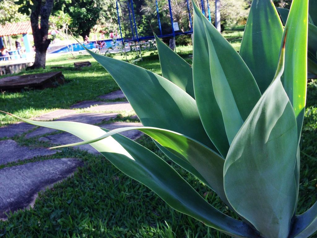 Pirenópolis Aguas Vivas Hotel Fazenda מראה חיצוני תמונה