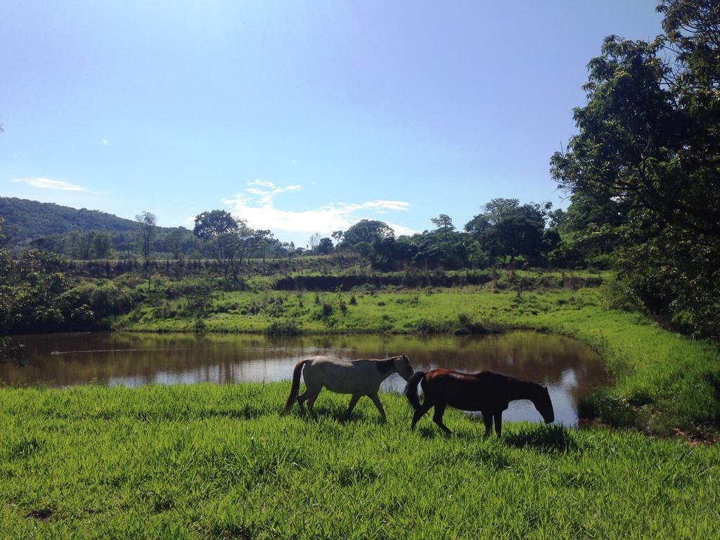 Pirenópolis Aguas Vivas Hotel Fazenda מראה חיצוני תמונה