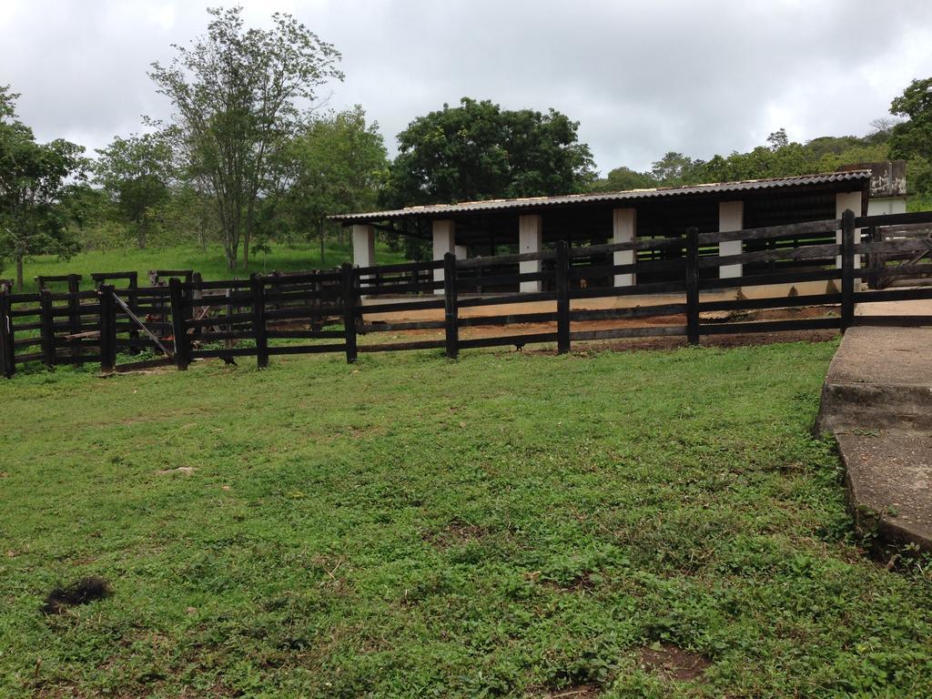 Pirenópolis Aguas Vivas Hotel Fazenda מראה חיצוני תמונה