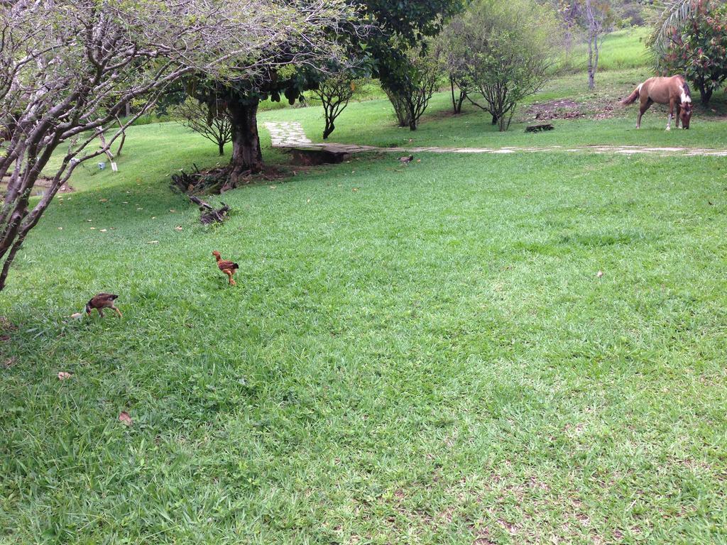Pirenópolis Aguas Vivas Hotel Fazenda מראה חיצוני תמונה