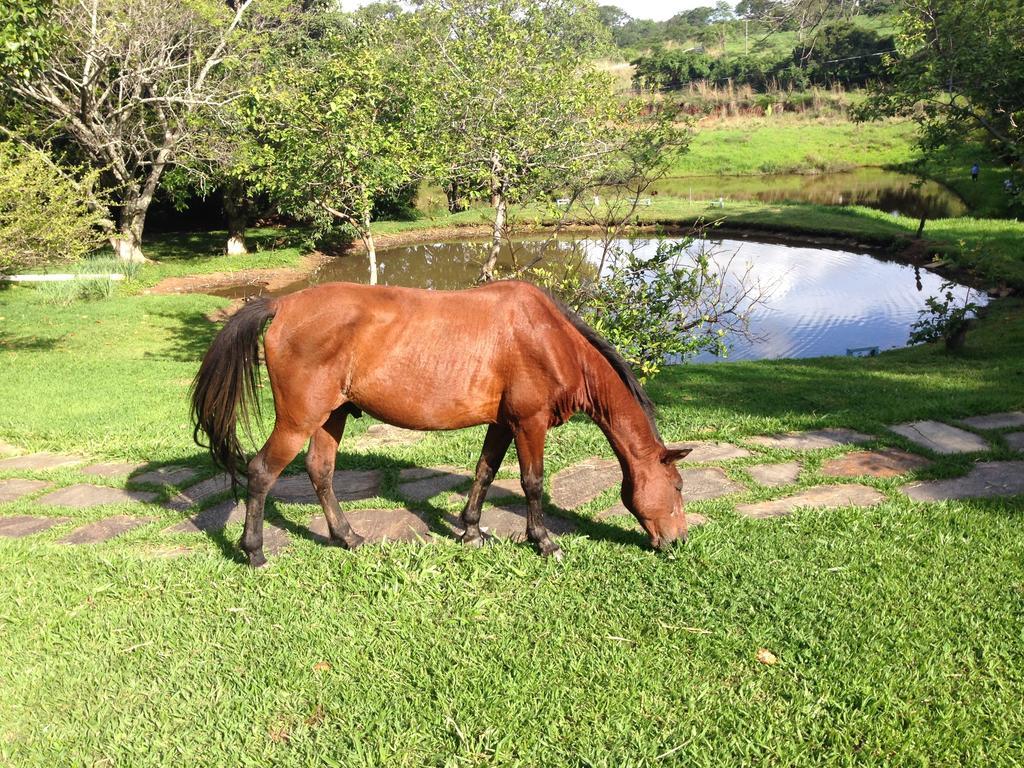 Pirenópolis Aguas Vivas Hotel Fazenda מראה חיצוני תמונה
