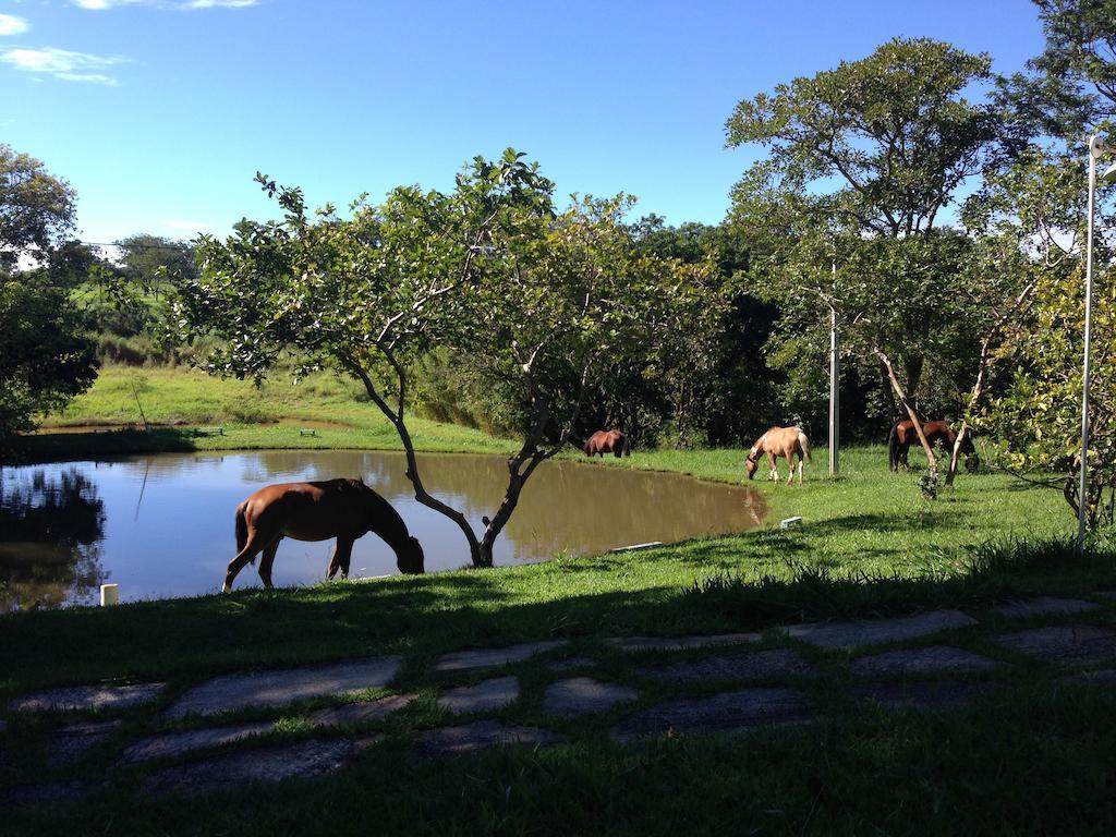 Pirenópolis Aguas Vivas Hotel Fazenda מראה חיצוני תמונה
